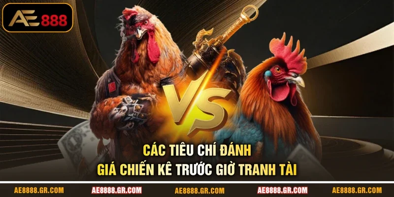 Các tiêu chí đánh giá chiến kê trước giờ tranh tài