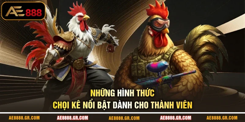 Những hình thức chọi kê nổi bật dành cho thành viên